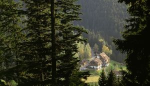 Zum Angebot | Forsthaus Auerhahn 