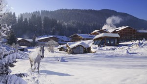 Stanglwirt | Wellness | Österreich Stanglwirt